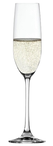 Salute Champagnerflöte !